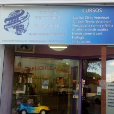 Peluquerías En San Vicente De Castellet